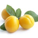 Mirabelle Plum