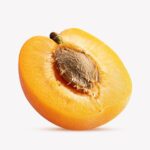 Apricot