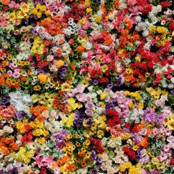 Multi-coloured-flowers-square-scaled-1.jpg