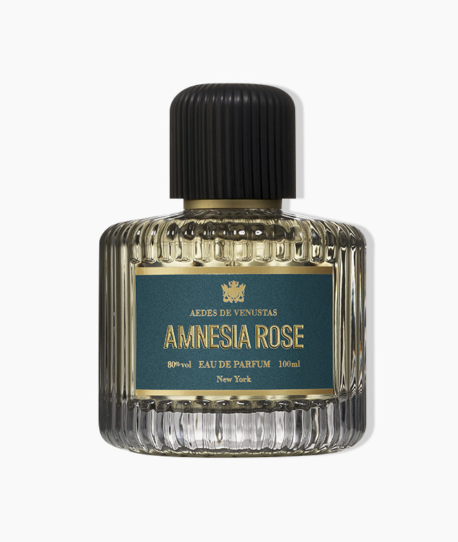 AMNESIA ROSE