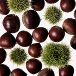 Chestnut