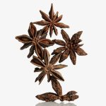 Anise