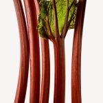 Rhubarb