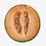 Melon